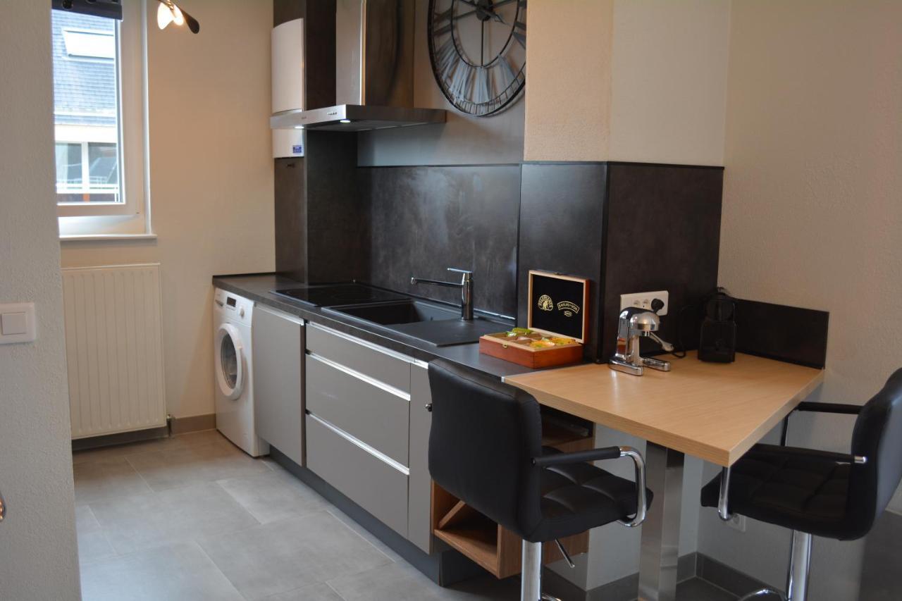 Appartement-Terrasse Parking Prive Meuble De Tourisme 4 Etoiles Belfort Luaran gambar